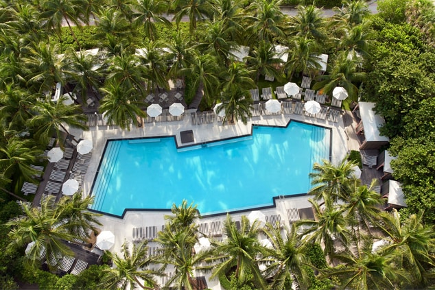 Aerial view of pool surrounded by palm trees.