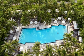 Vista aérea de la piscina rodeada de palmeras