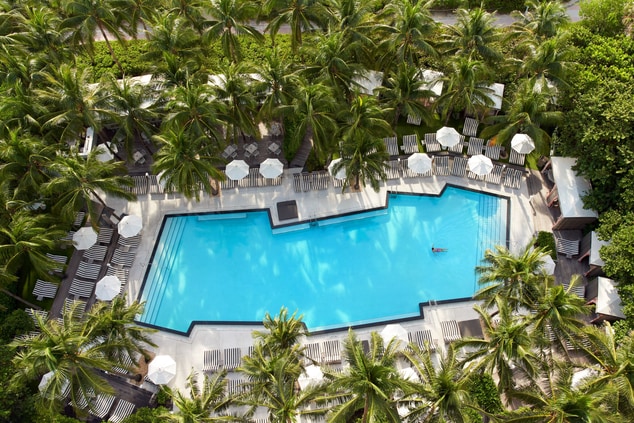 Overhead view of pool surrounded by palm trees.