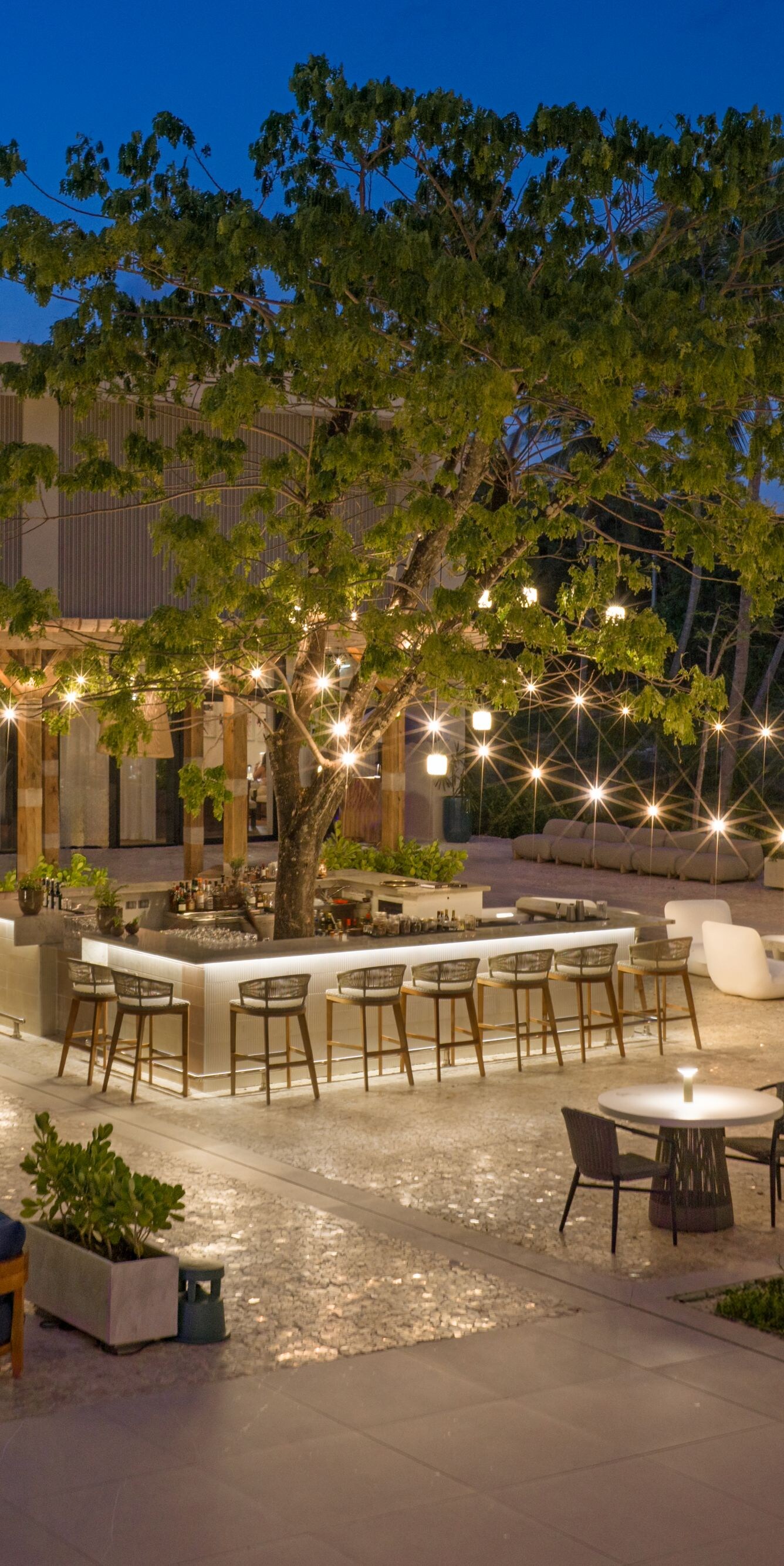 Bar y zona de eventos nocturnos del bar The Plaza 