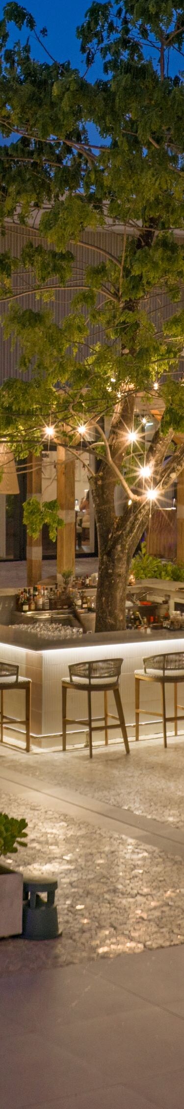 Bar y zona de eventos nocturnos del bar The Plaza 