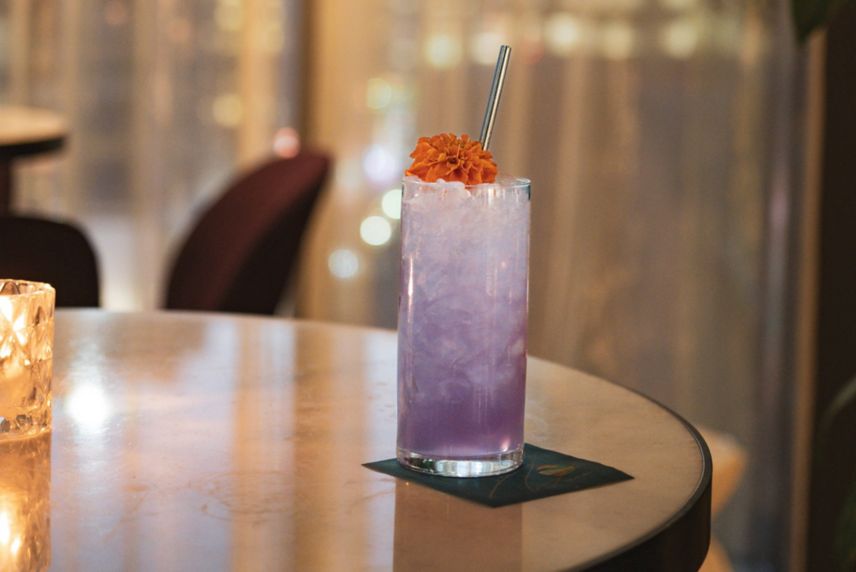image of a purple cocktail