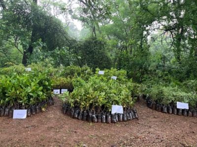 Environmental Protection
