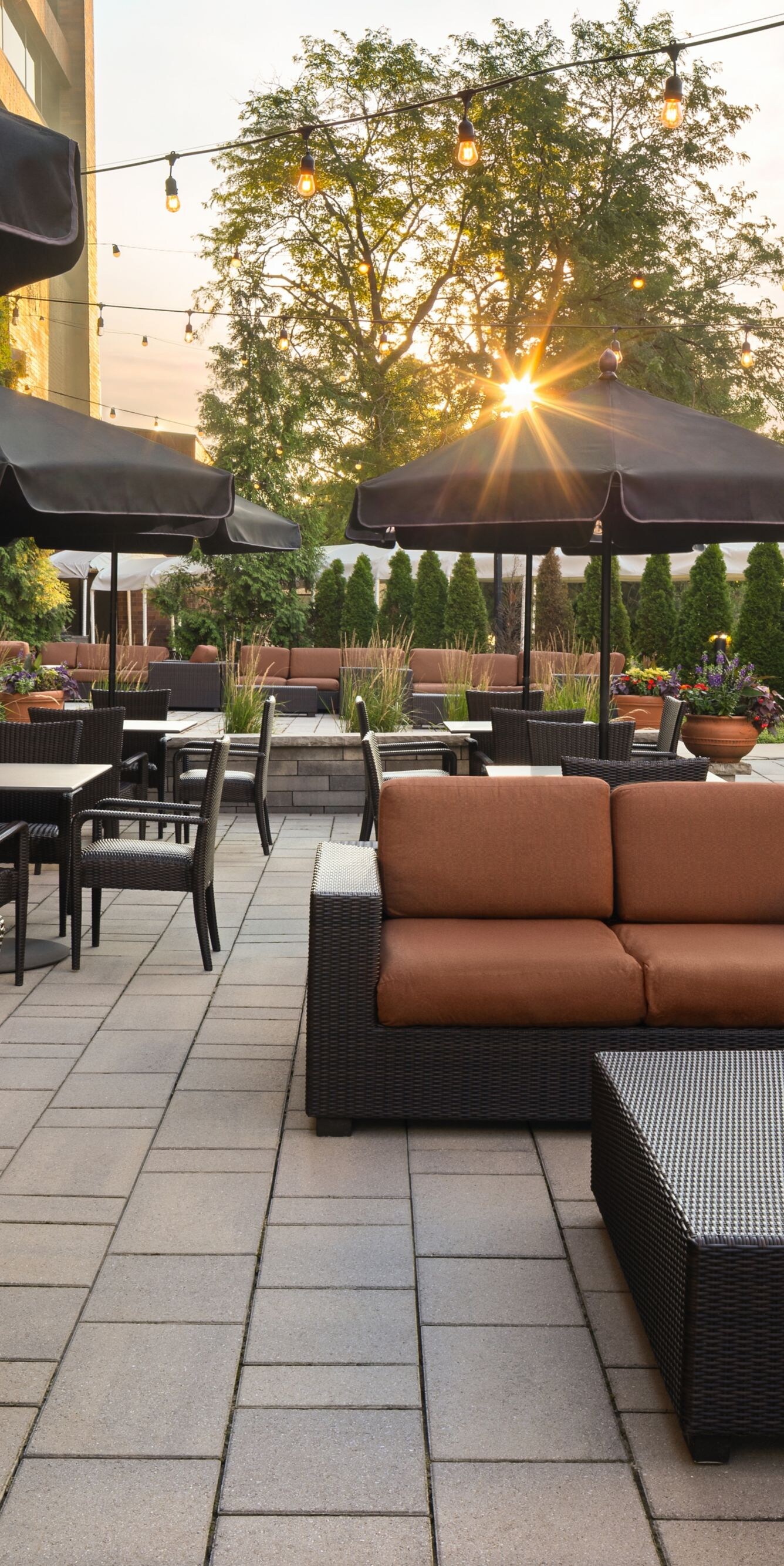 Hotel patio with lounge seating