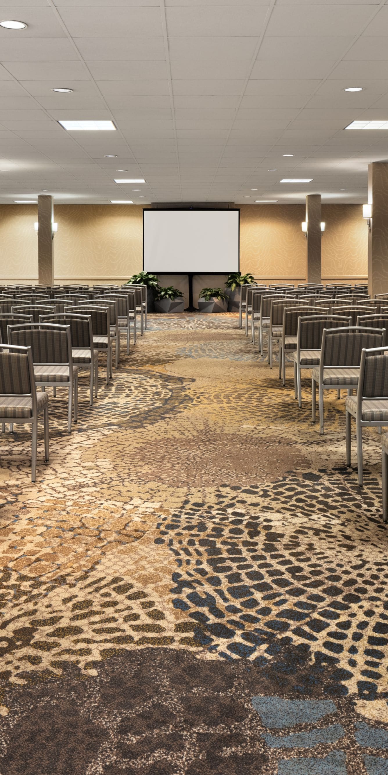 Conference room with rows of chairs