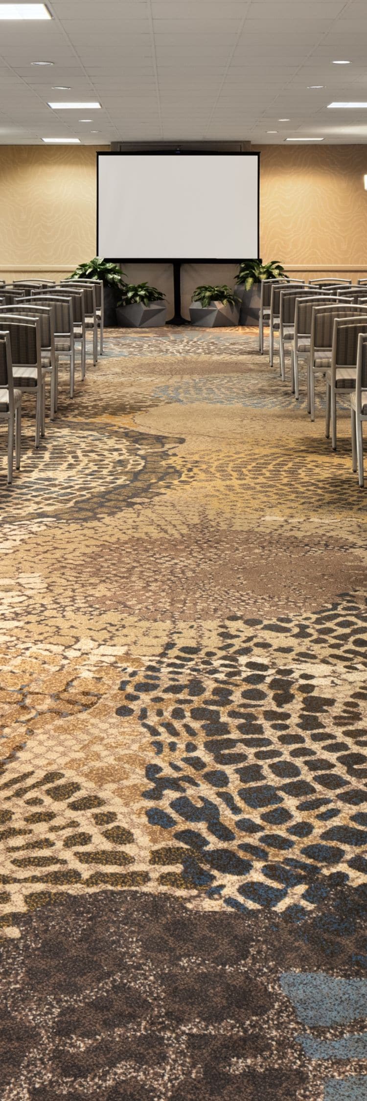 Conference room with rows of chairs