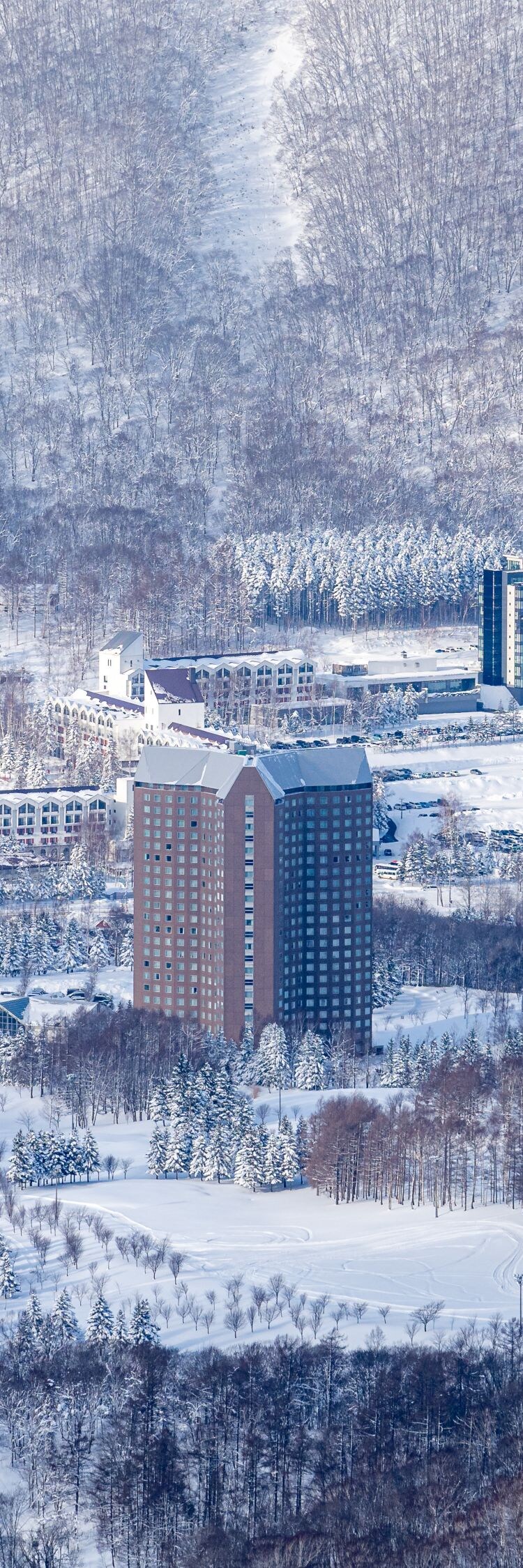上空から見たリゾートと雪景色