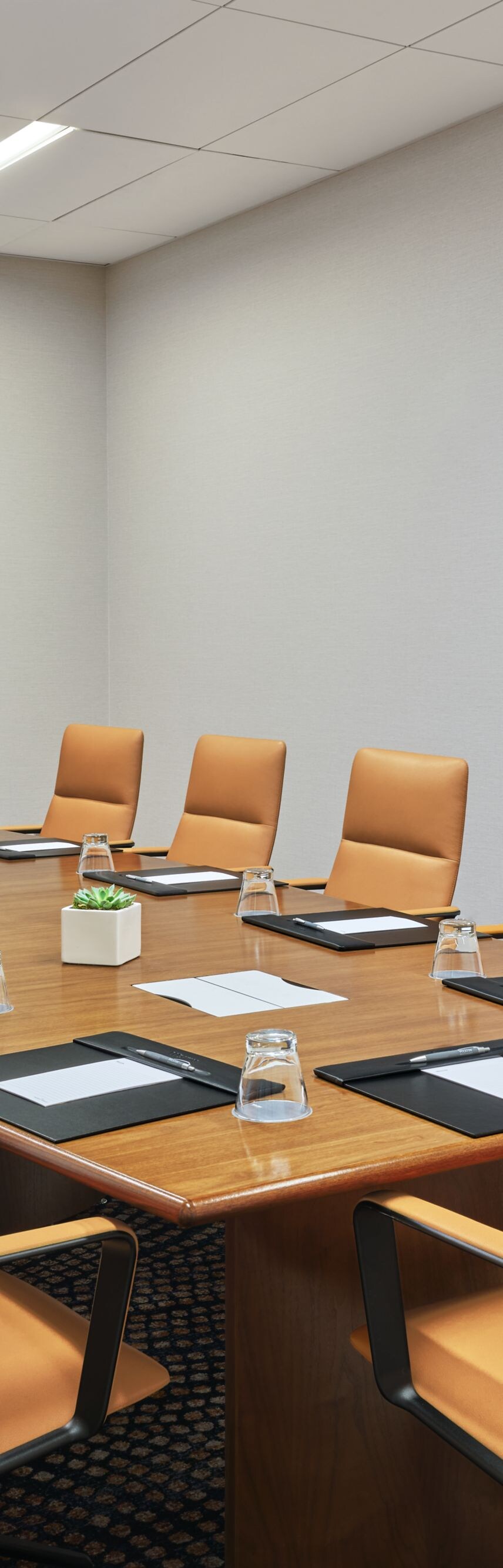 Boardroom Exec Set with Monitor