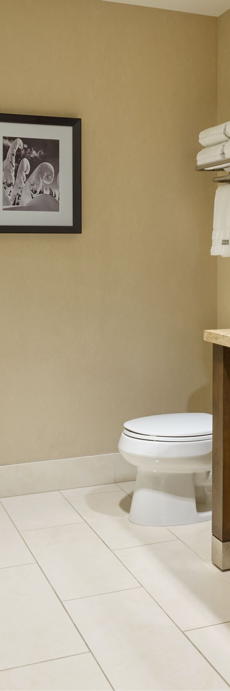 Suite de lujo, baño