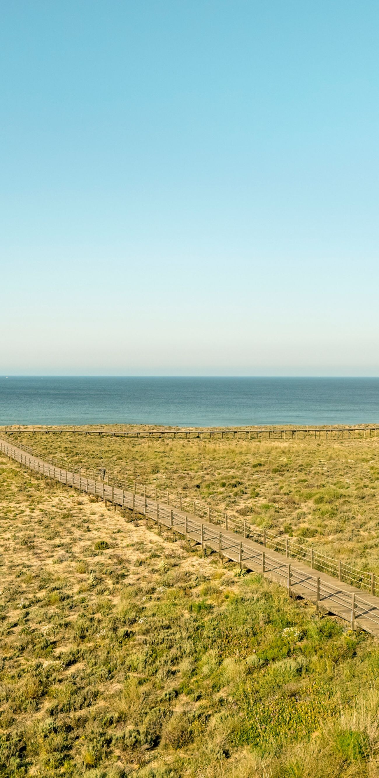 Wooden boardwalk through dunes to the beach  