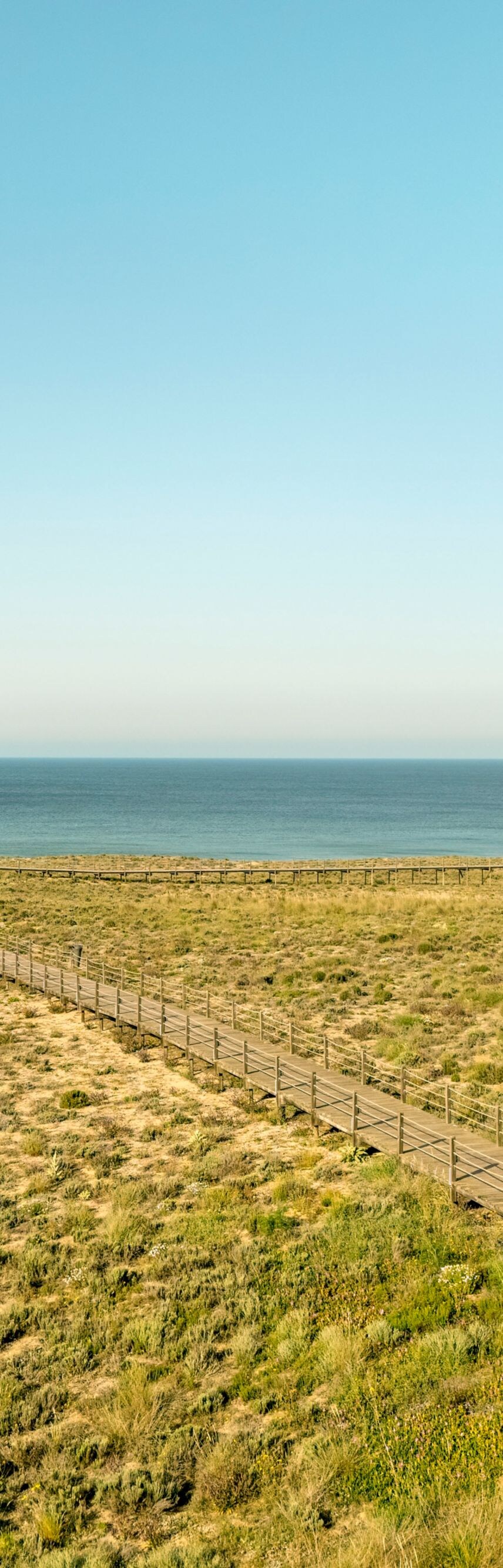 Wooden boardwalk through dunes to the beach  