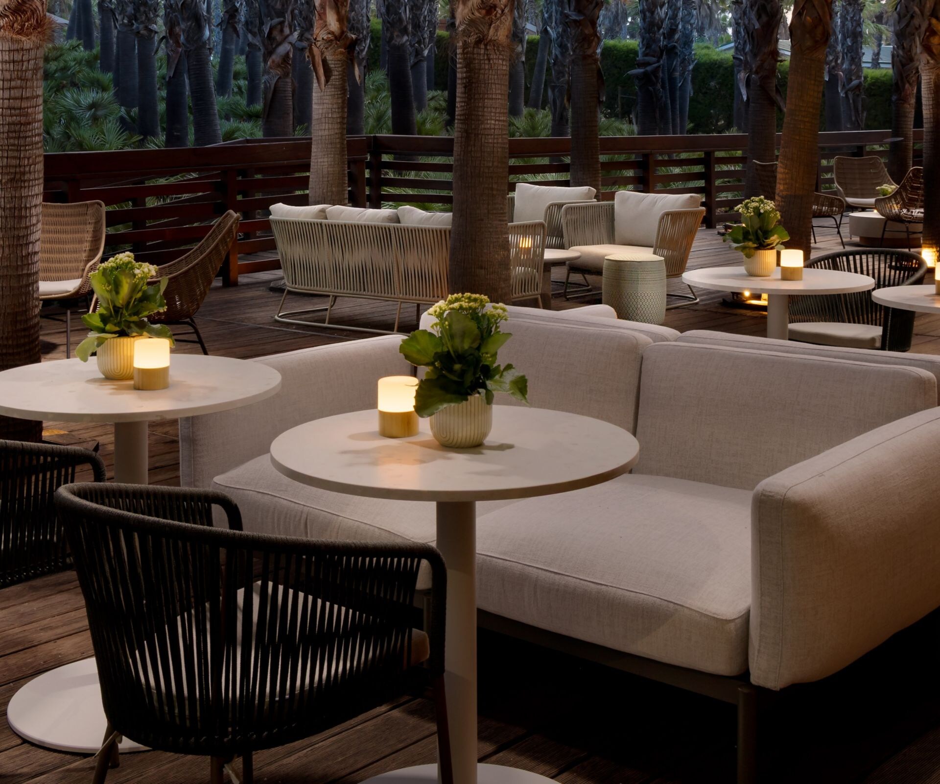 Outdoor lounge area with wicker chairs and palms 