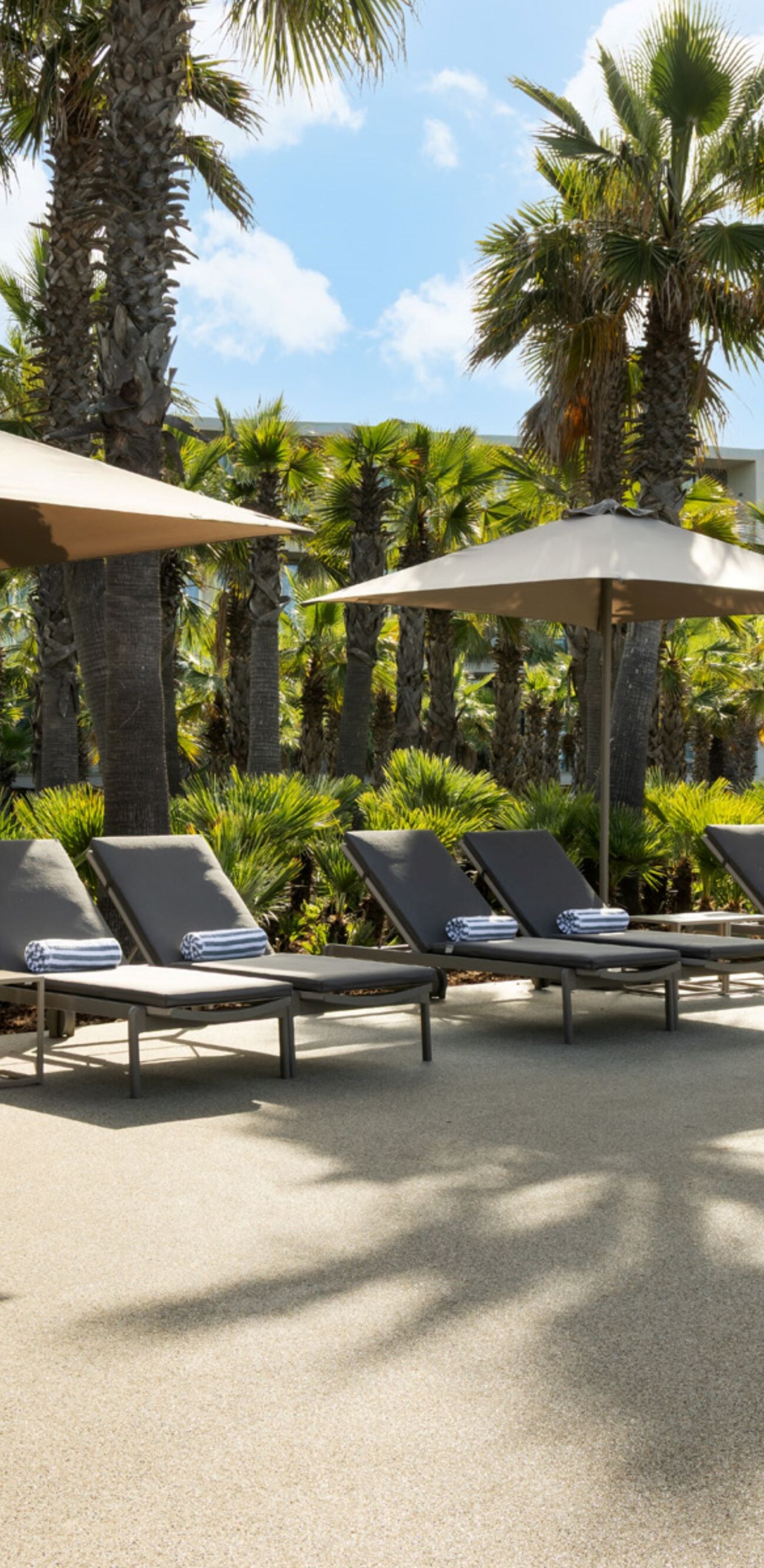 Sunbed Area at The Westin Salgados Algarve