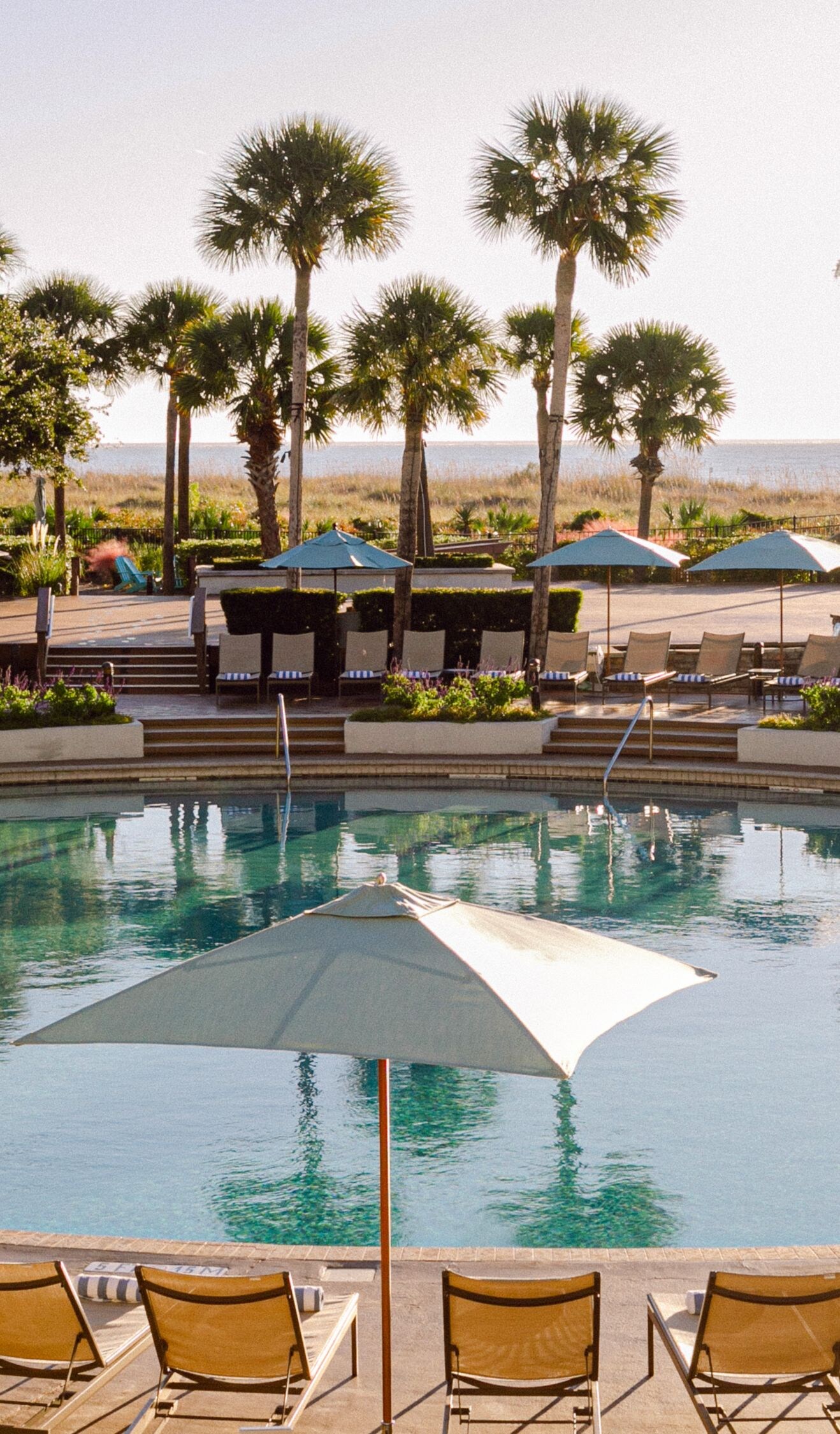 Oceanfront Resort Pool