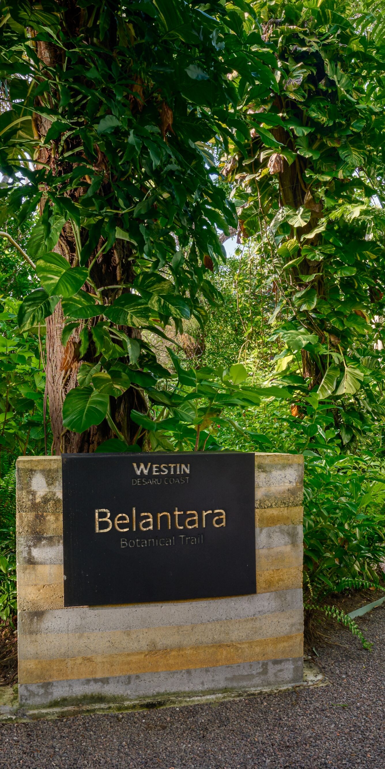 Belantara Botanical Trail sign in garden
