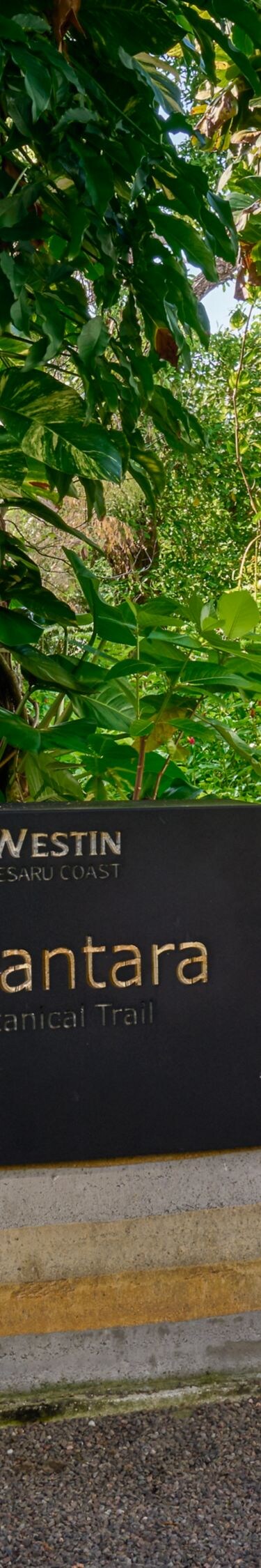 Belantara Botanical Trail sign in garden