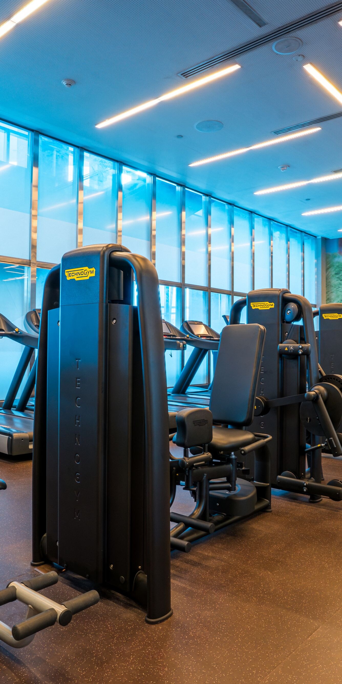 Cardio equipment in fitness center