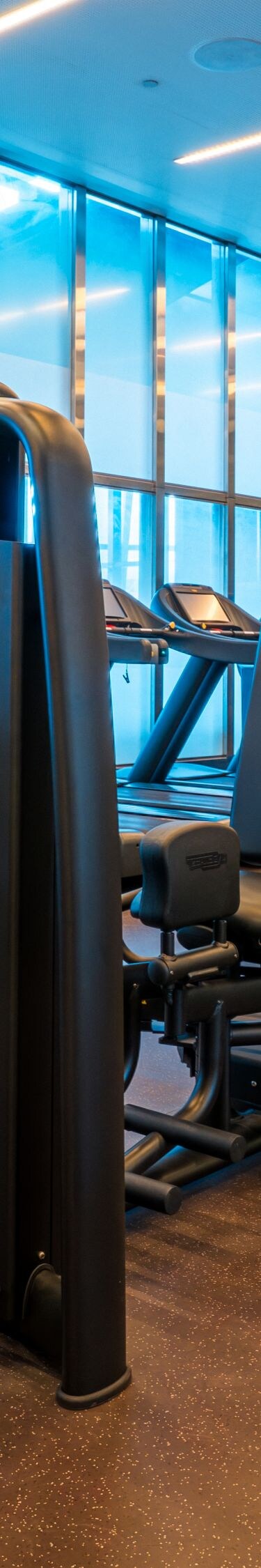 Cardio equipment in fitness center