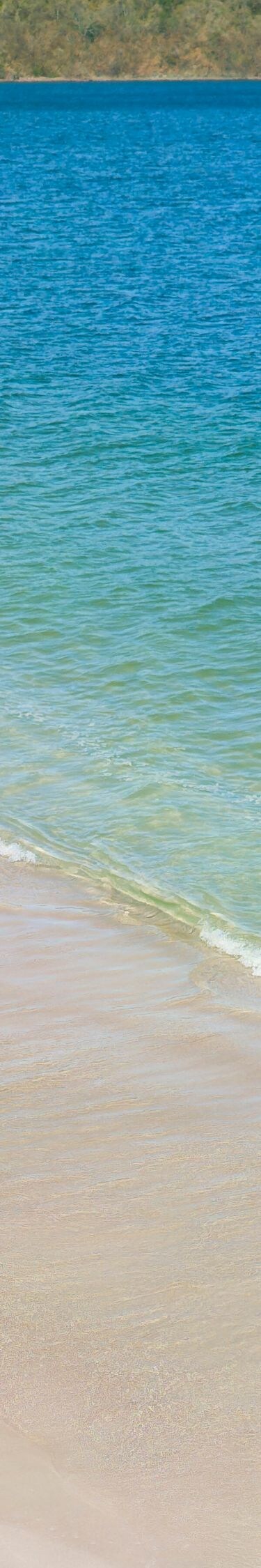Couple walking on tropical beach. 