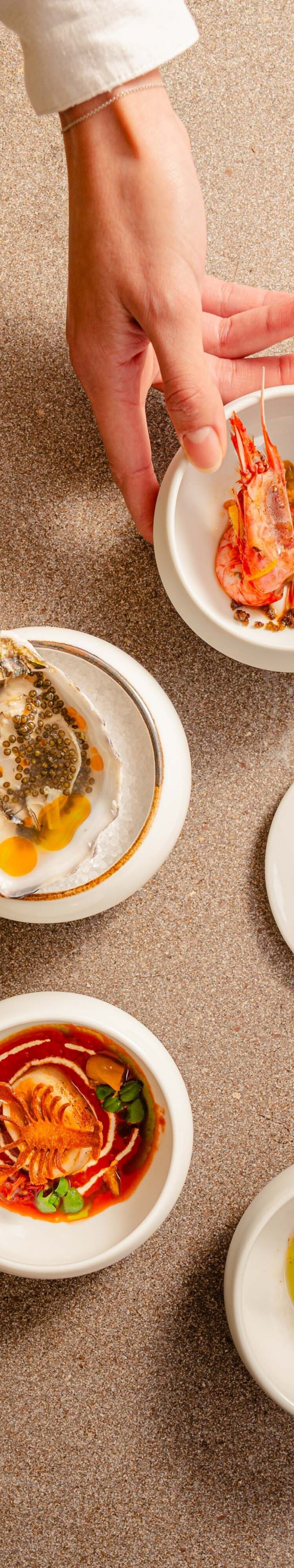 Chef serving plated gourmet dishes 