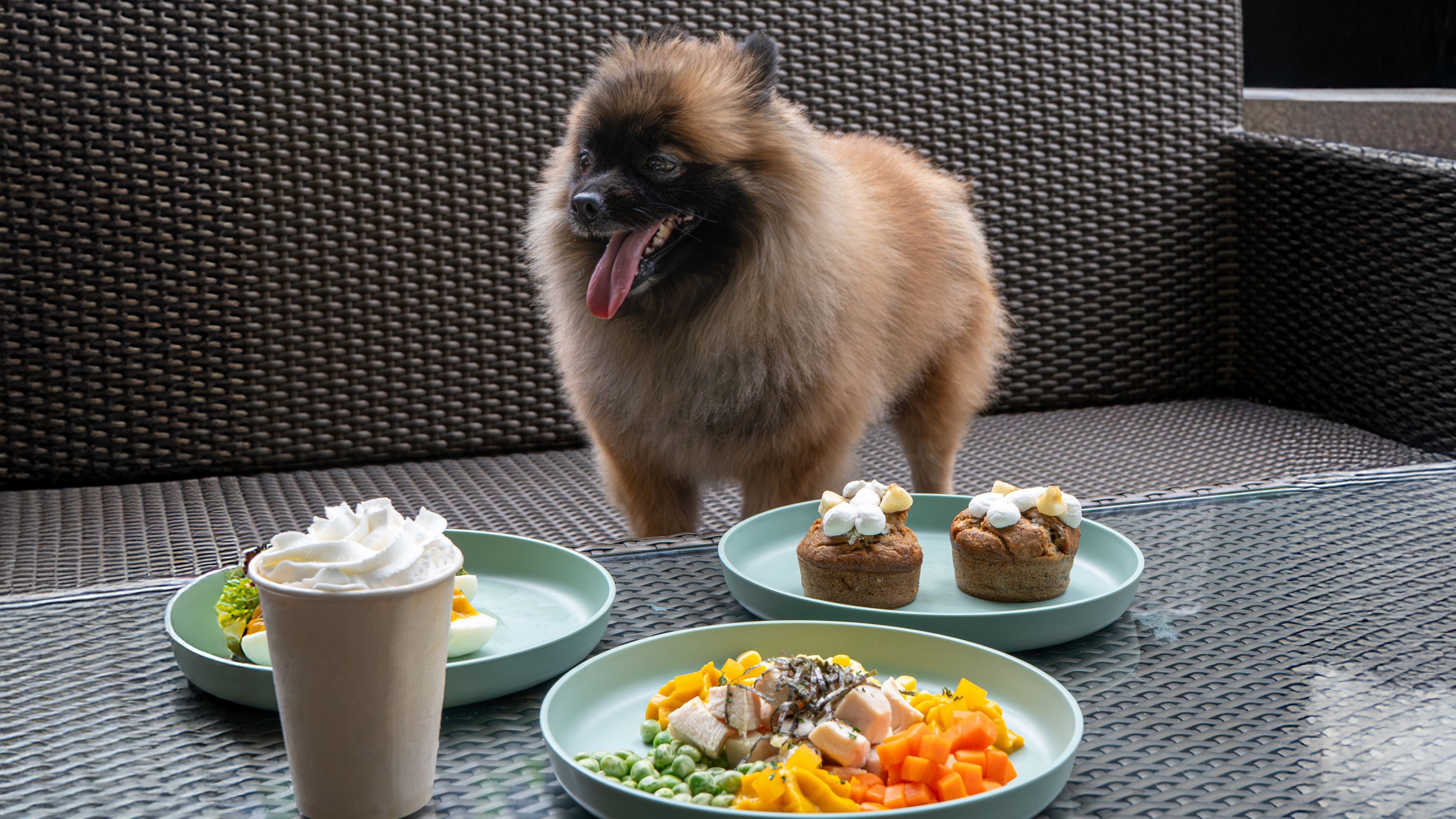 A La Bark® Menu
