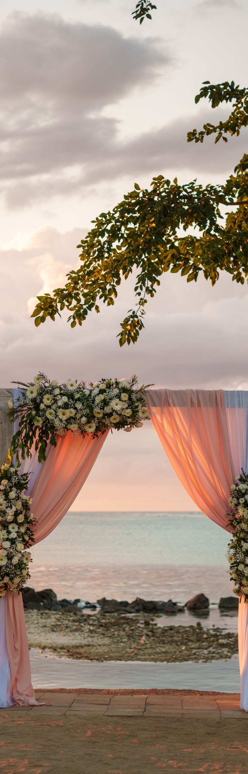  Architektur, Hochzeit, Aufbau, Strand 