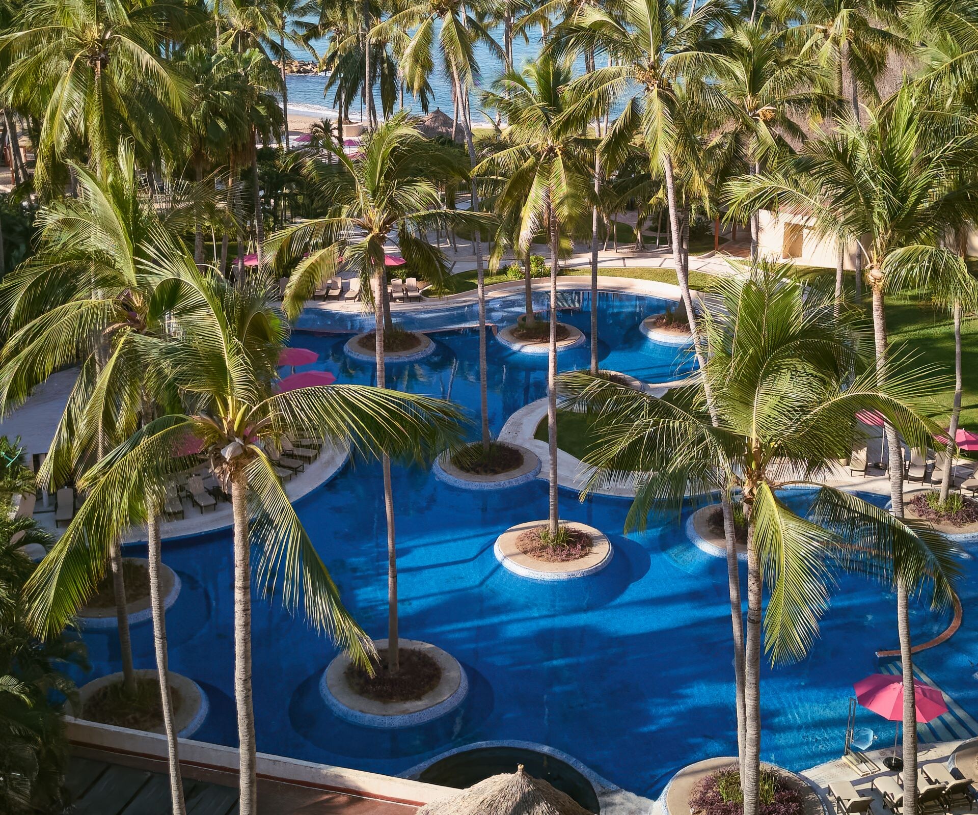 Piscina del resort con palmeras y sillas reclinables