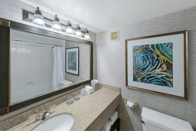 Guest Room and Suite Bathroom
