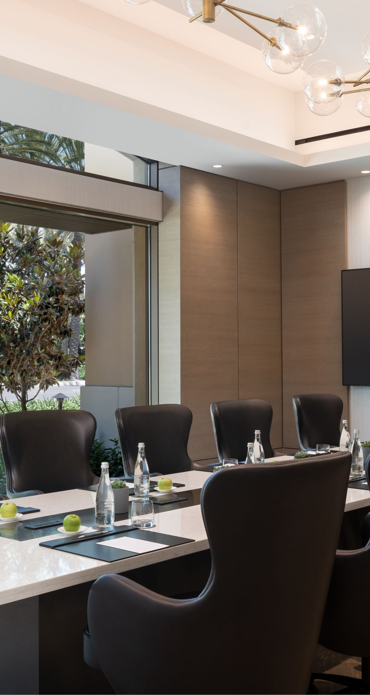  Caramia Boardroom