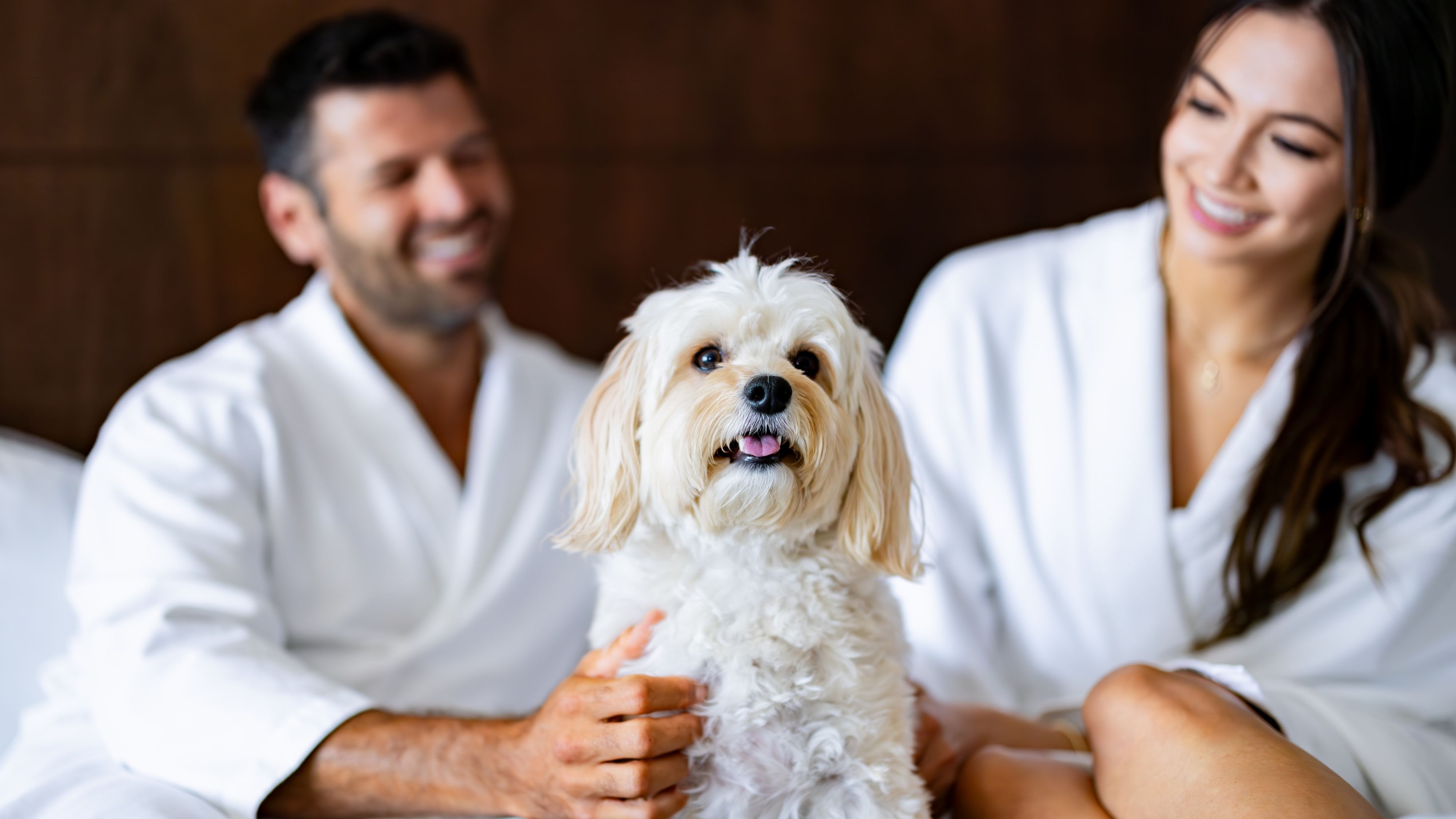 Pet Vacation in Southern California