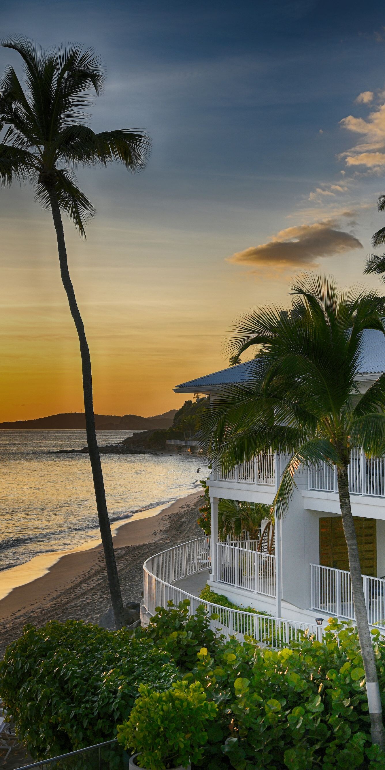 Beach house and palm trees during sunset