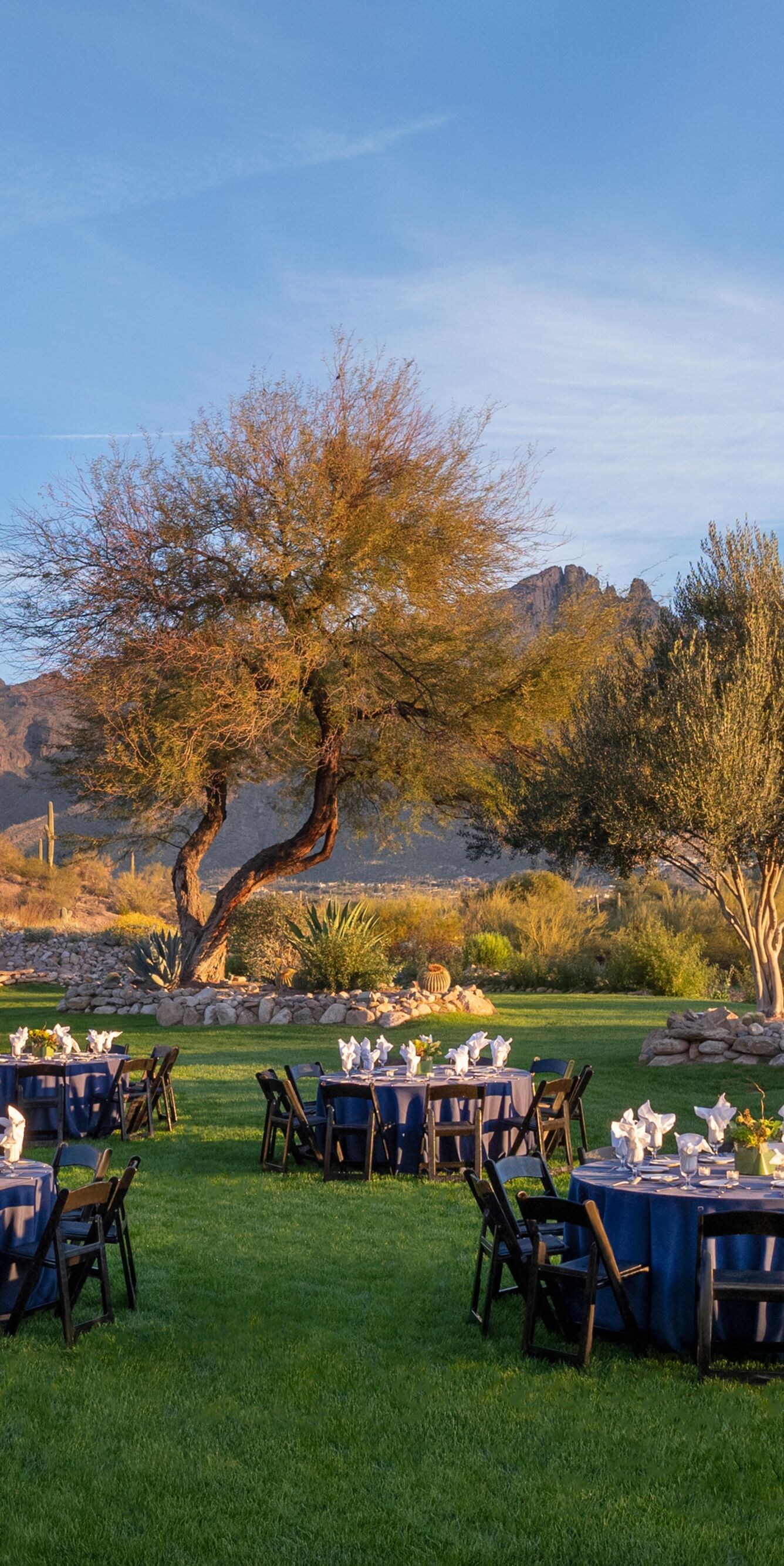 Outdoor lawn reception with tables and mountain vi