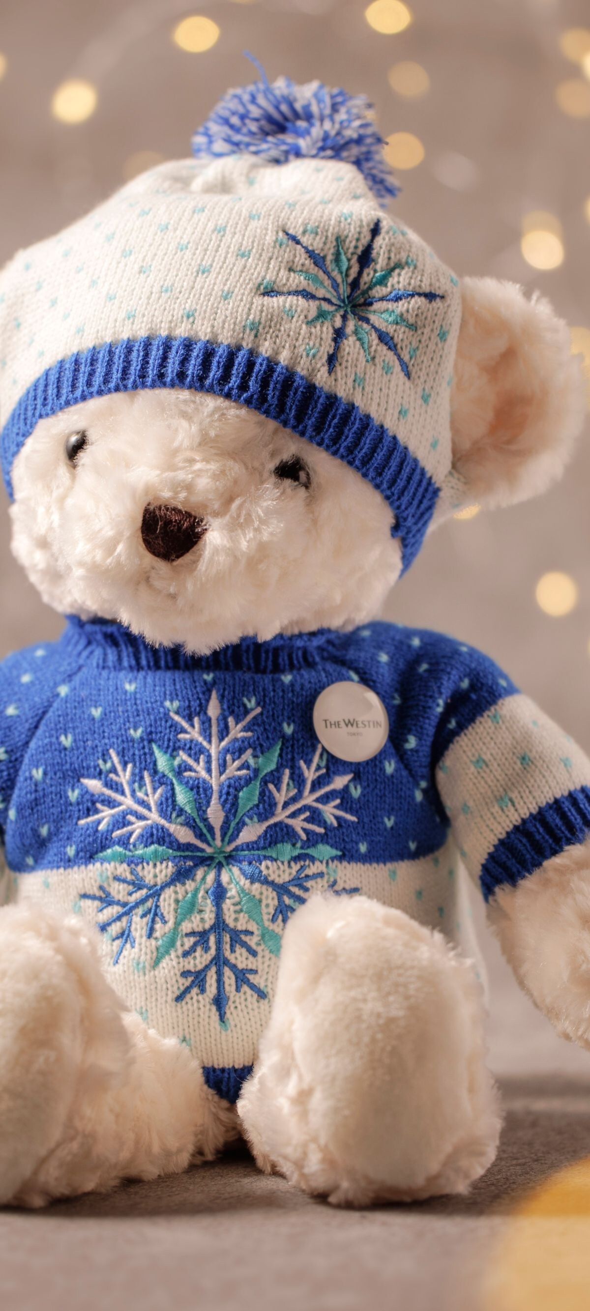 2026_winter_chirstmas bear