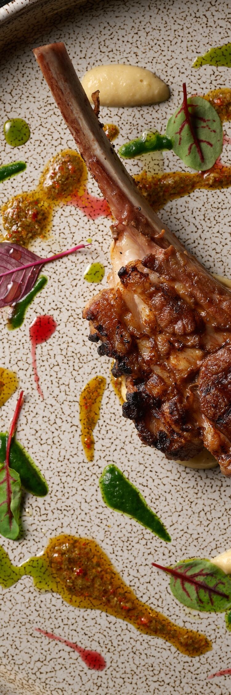 Iron Bay - Seasonal menu for summer