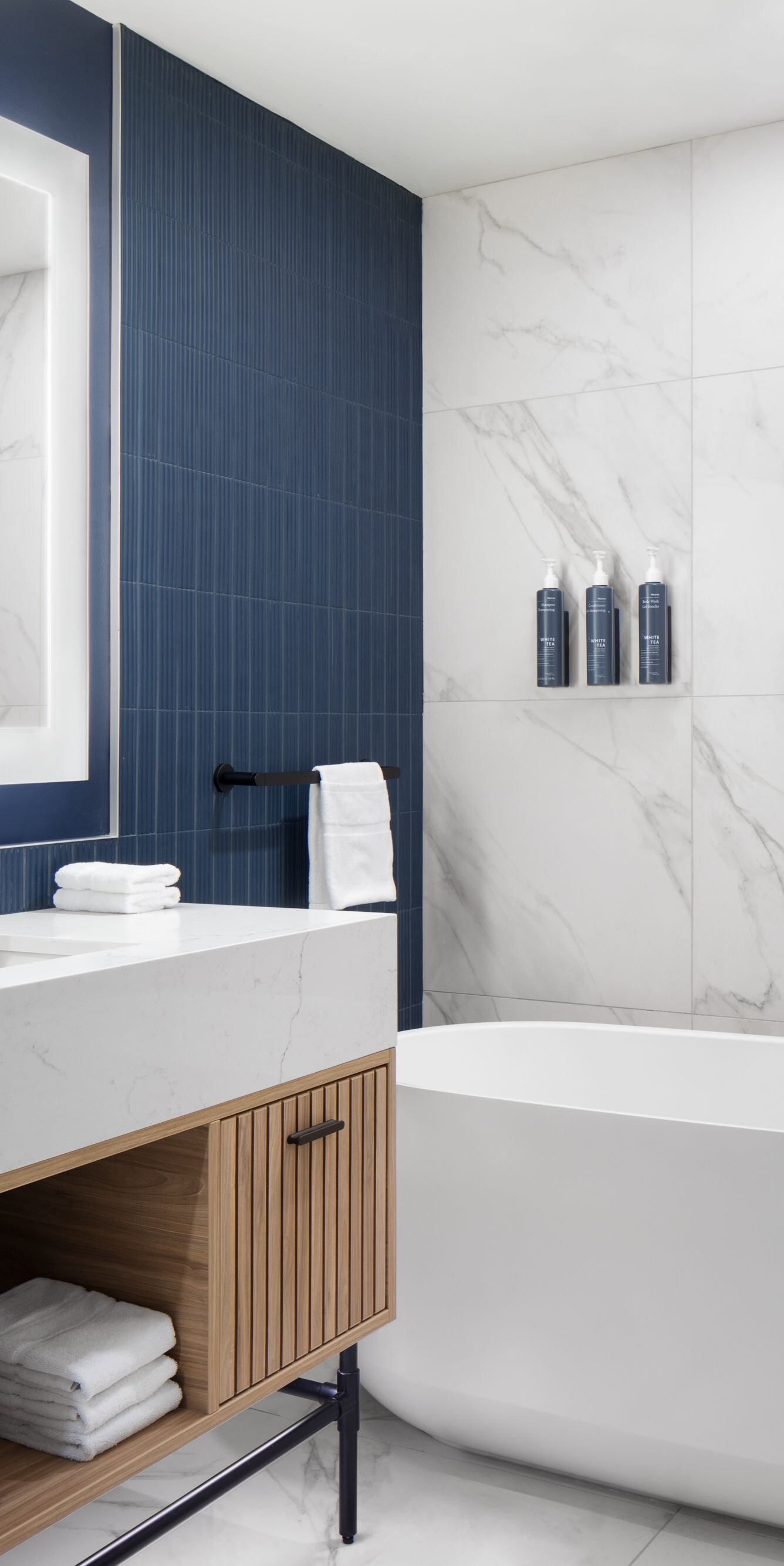 lavabo en marbre et baignoire