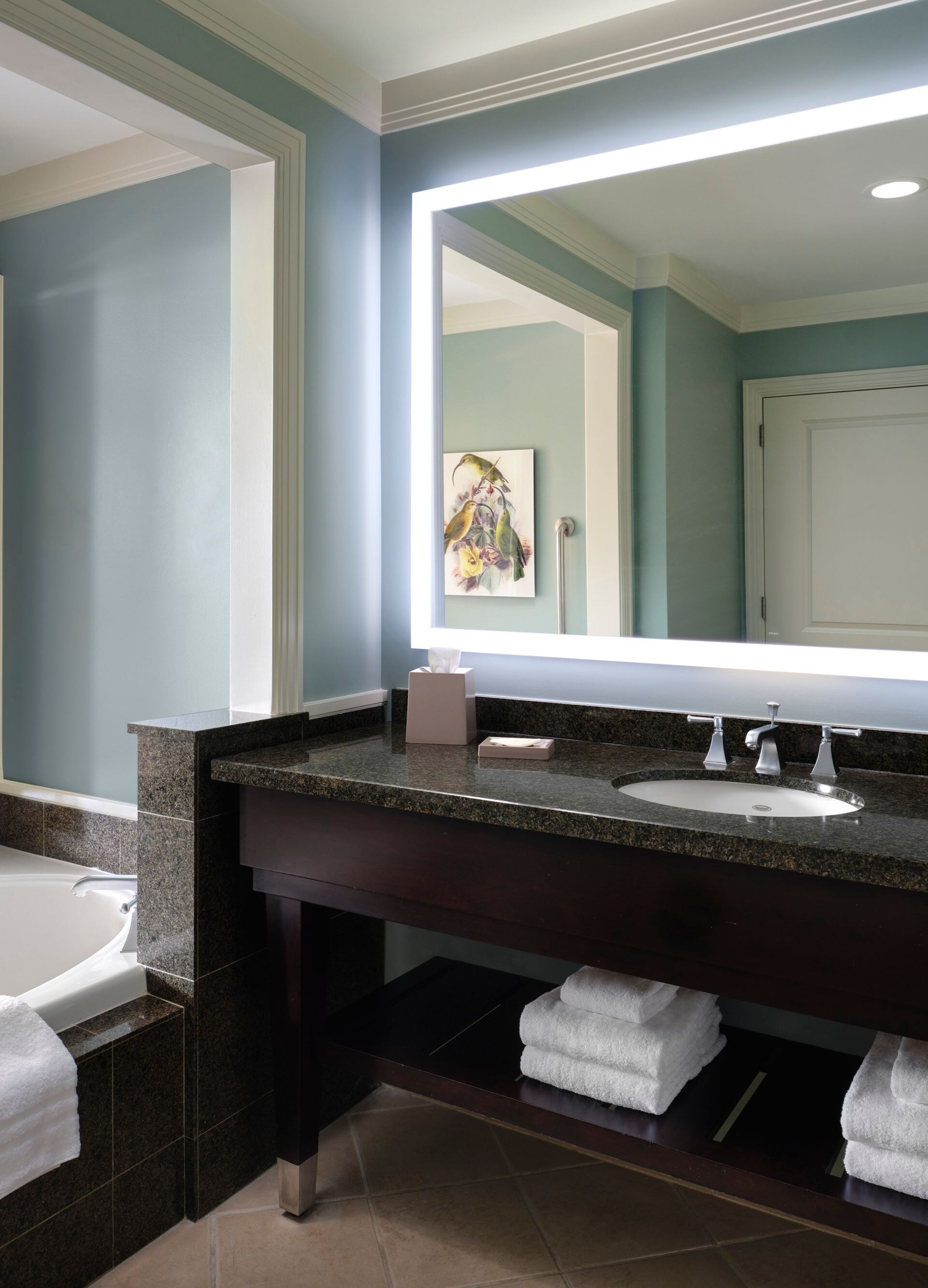 Sink and soaking tub