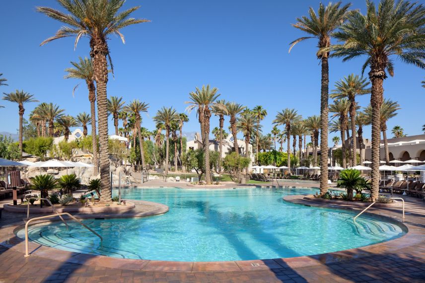 Pool with lounge chairs, umbrellas, palm trees