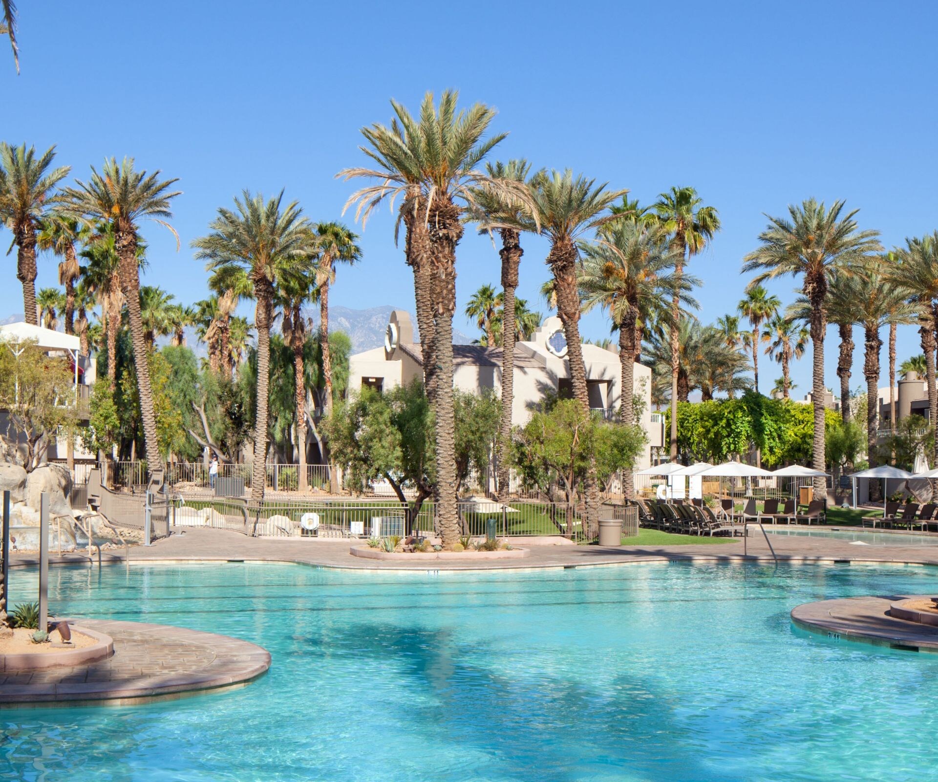 things to do in Palm Spring, umbrellas, palm trees