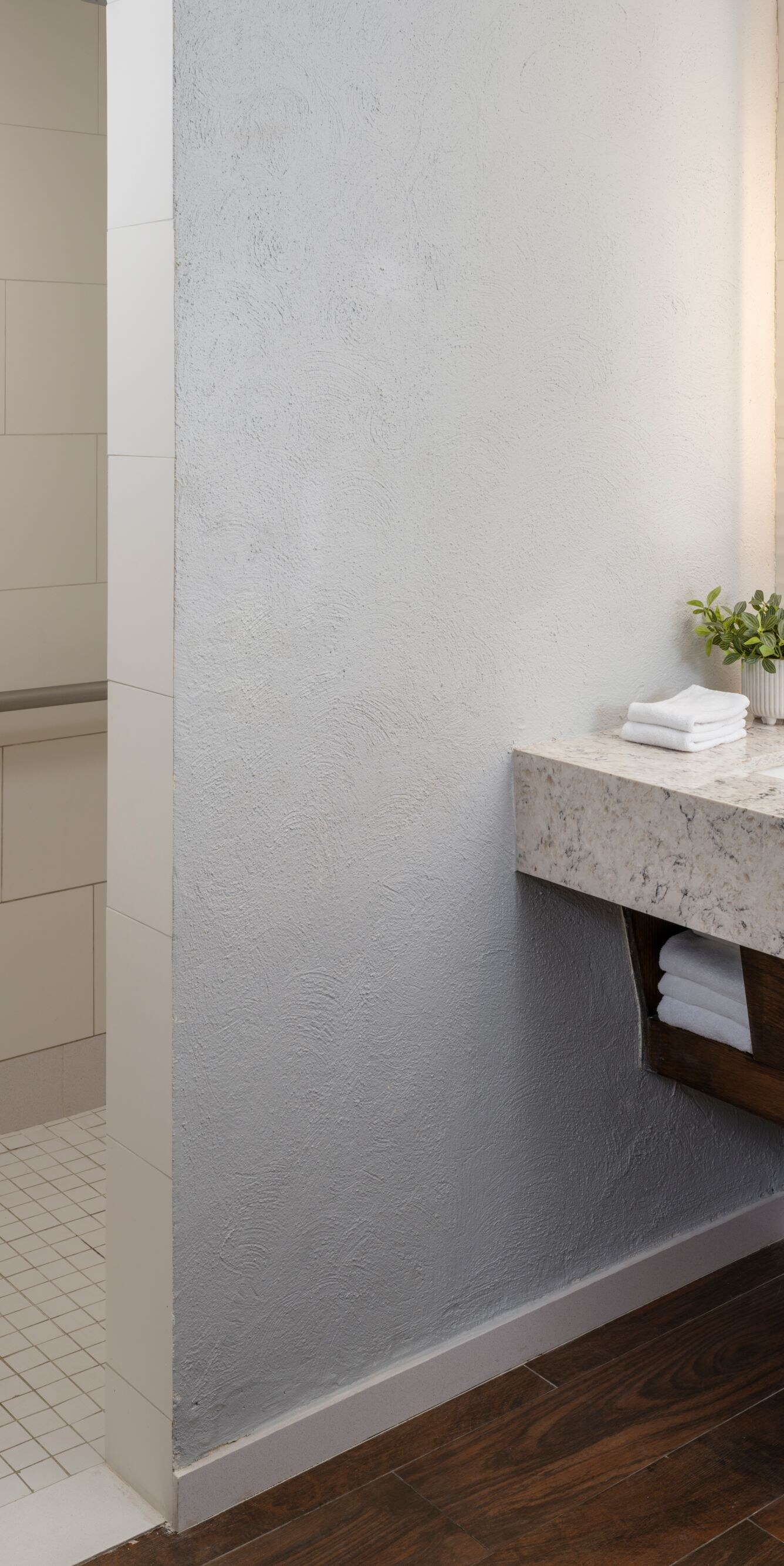 Accessible bathroom with roll-in shower
