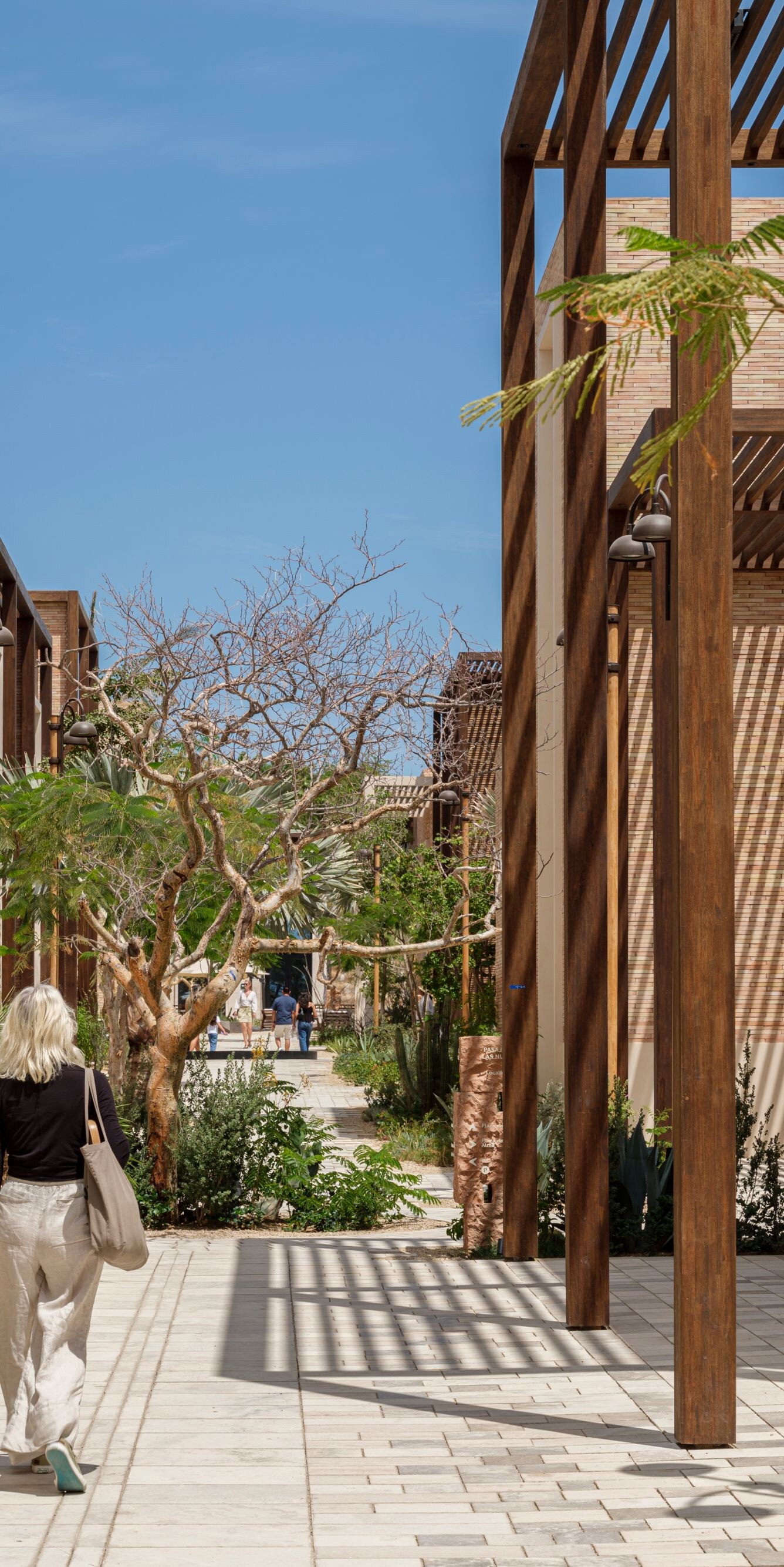 Shopping and dining near Los Cabos vacation resort