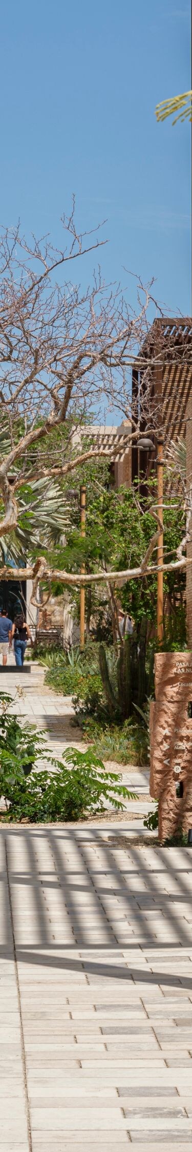 Shopping and dining near Los Cabos vacation resort