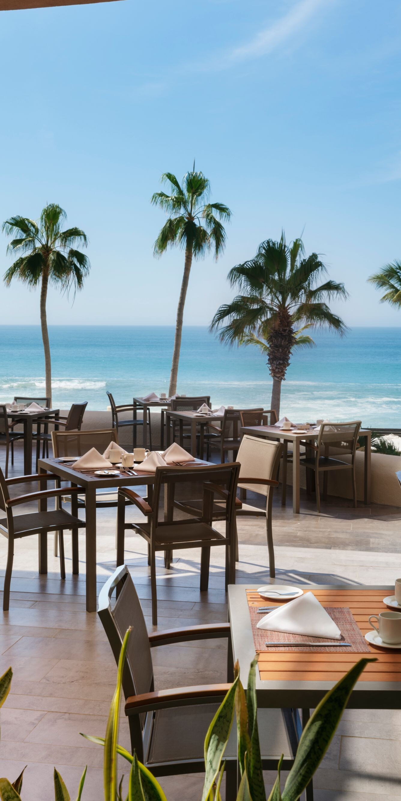 Restaurant outdoor dining area with ocean view
