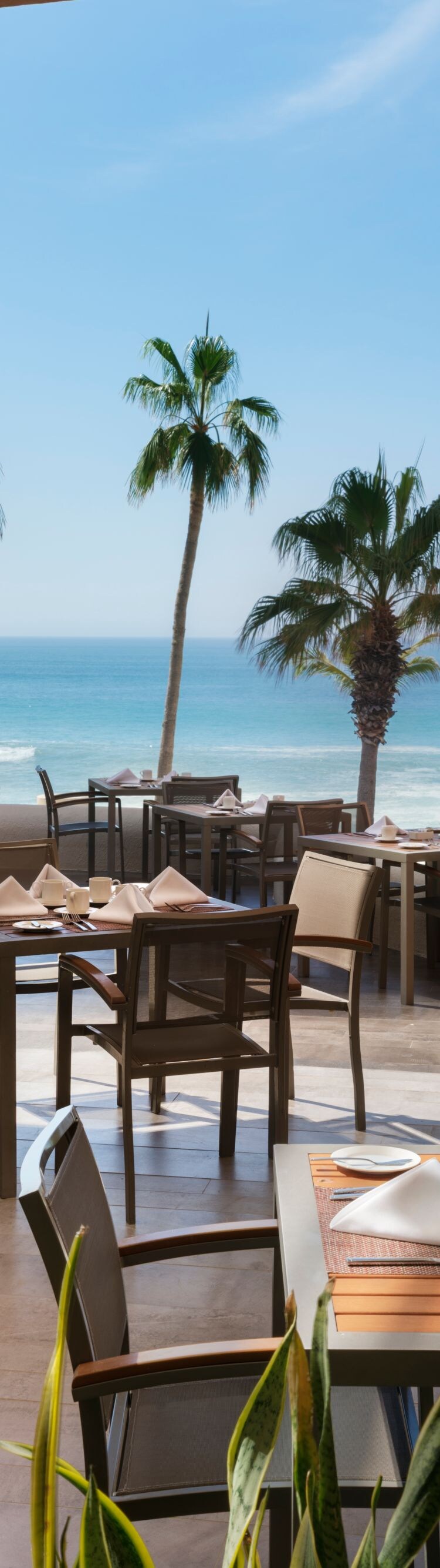 Restaurant outdoor dining area with ocean view