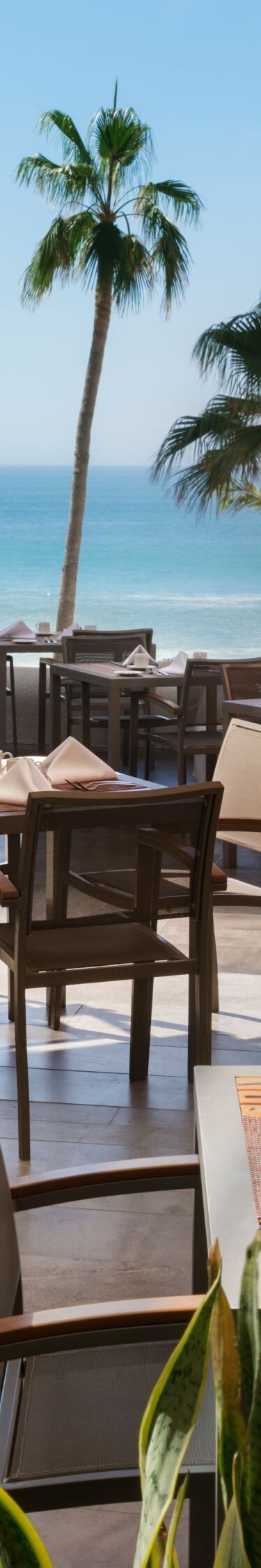 Restaurant outdoor dining area with ocean view