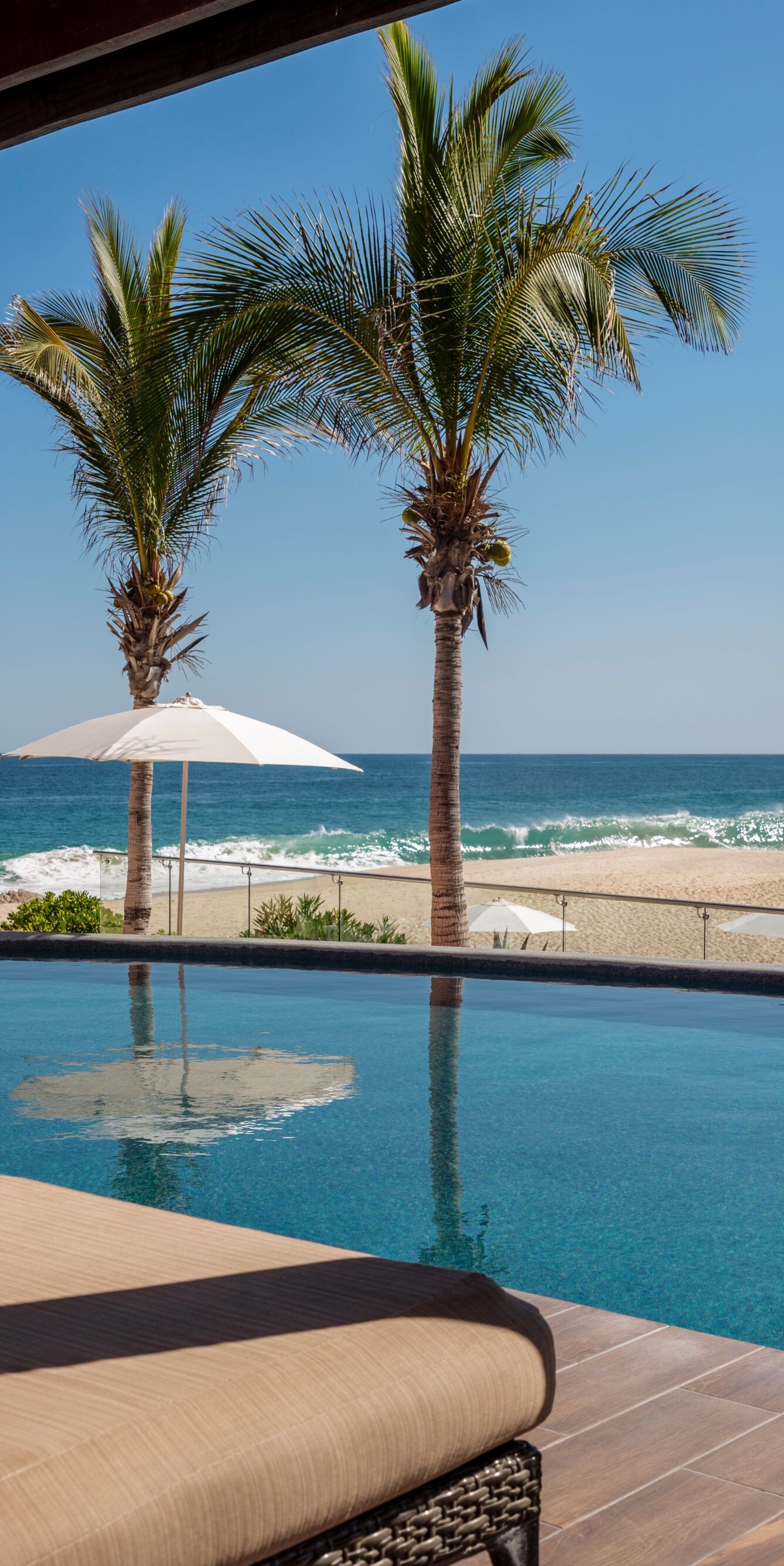 Beachfront infinity pool with palm trees and ocean