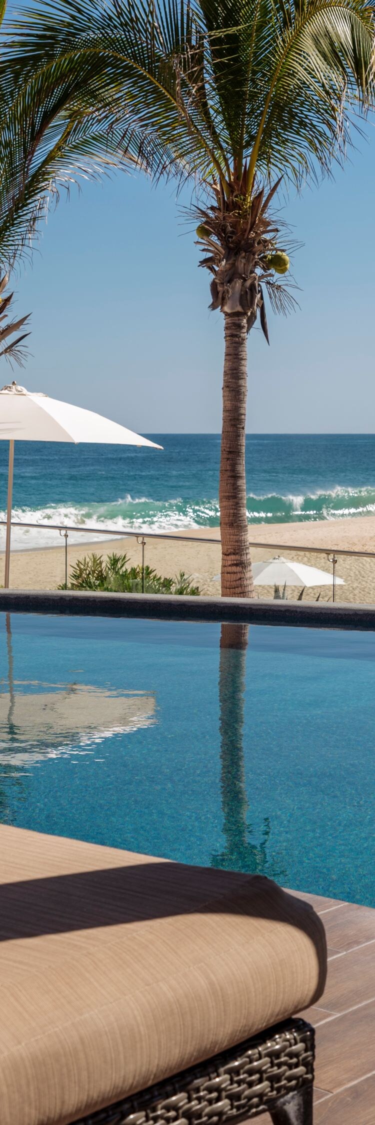 Beachfront infinity pool with palm trees and ocean