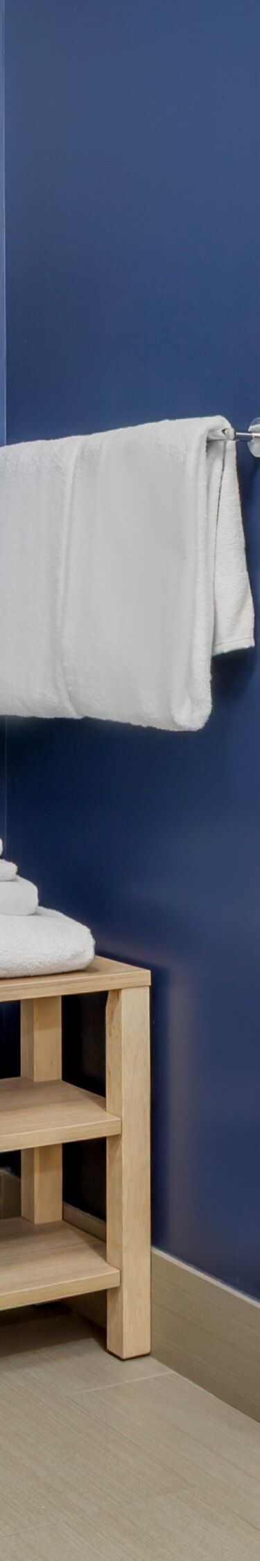 ADA King Guest Room Shower