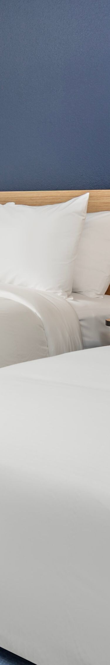 Double Queen Guest Beds