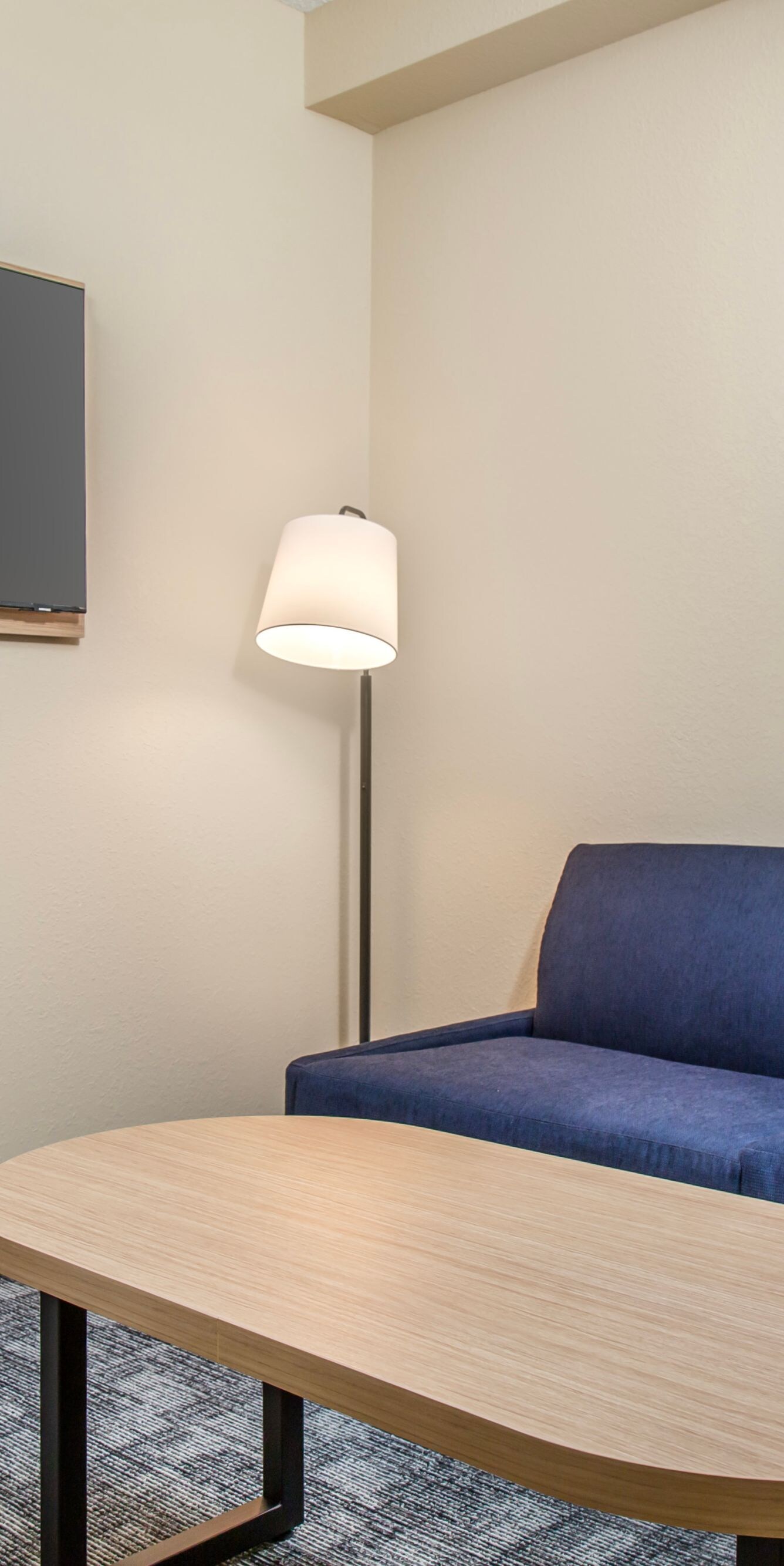 King Guest Room Entertainment Area with Sofa Bed