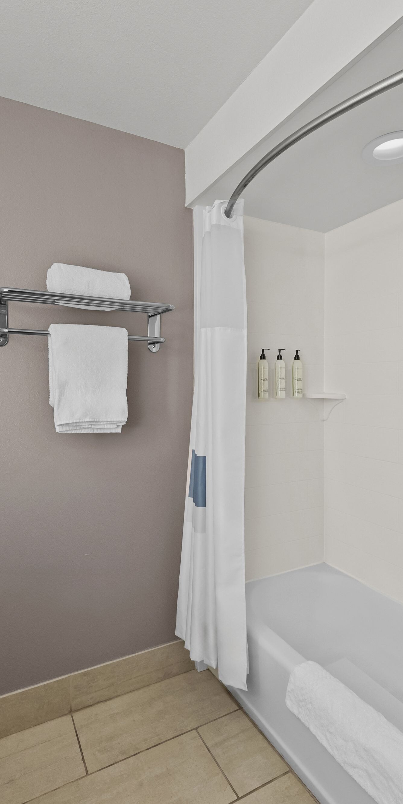 Tub shower with grab bar and toiletries